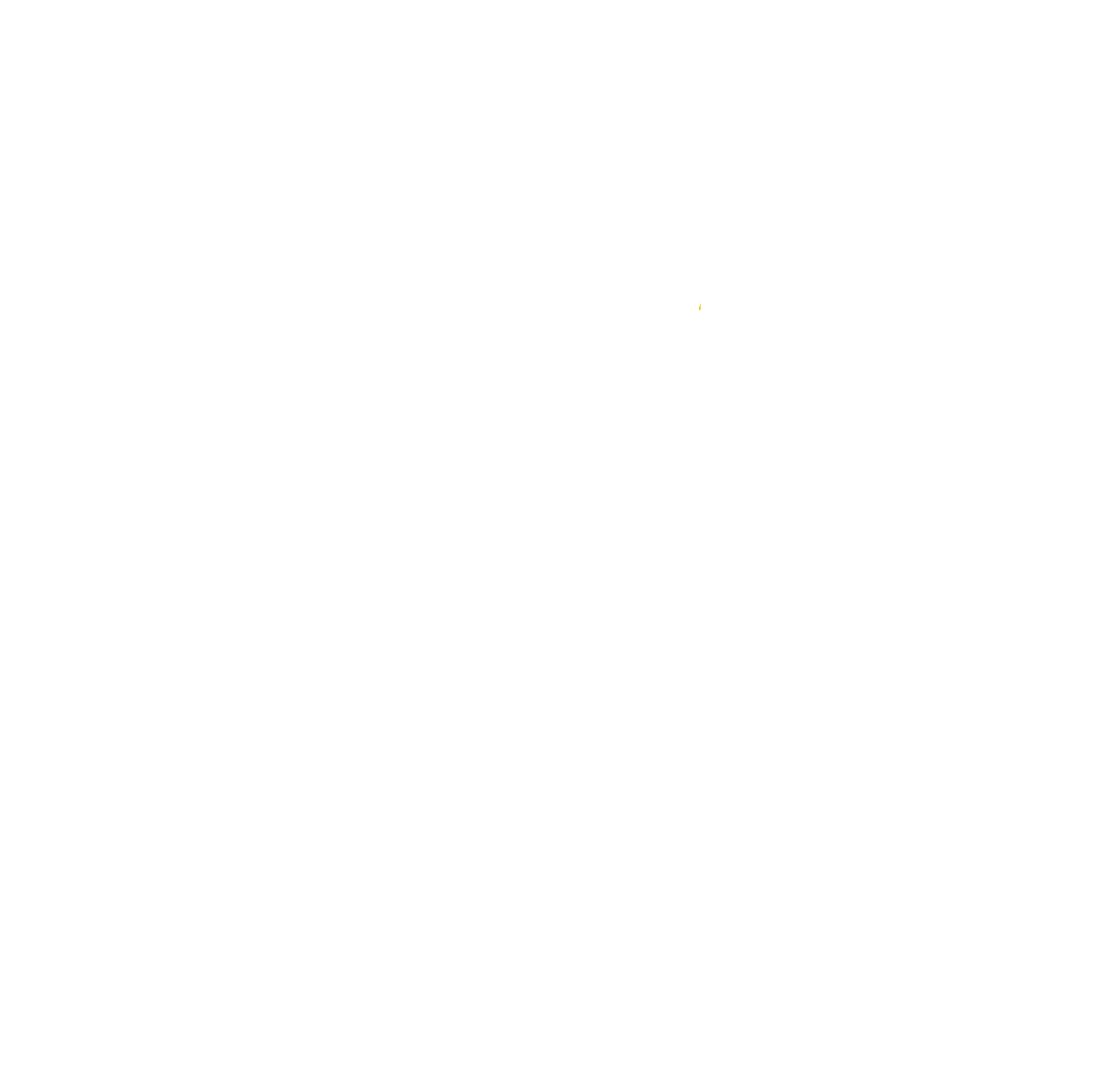 Kentucky Unbridled Spirit Logo